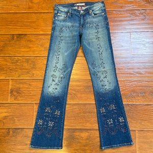 Joy Jeans Rhinestone Embroidered Skinny Jeans